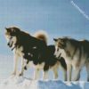 The Alaskan malamute Dogs diamond paintings