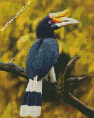 The Hornbill Bird diamond painting