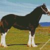 The Shire Horse Animal diamond painting