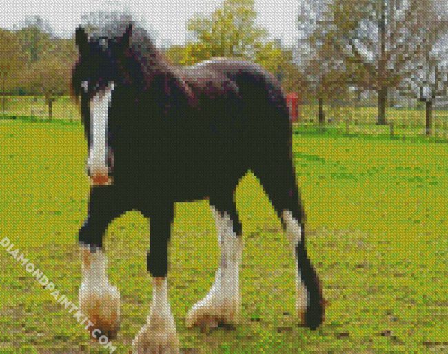 The Shire Horse diamond painting