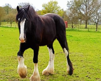 The Shire Horse diamond painting