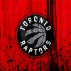 Toronto Raptors Logo diamond painting