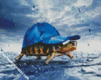 Tortoise With Hat diamond painting