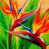 Tropical Bird Of Paradise diamond painting