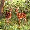 Twin fawn diamond painting