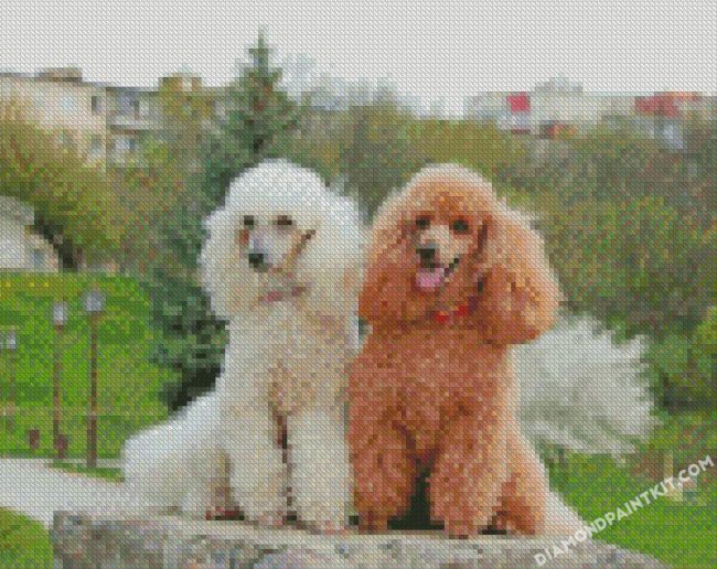 White Brown Poodles diamond paintings