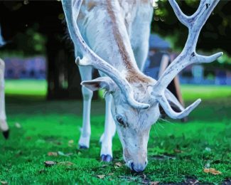 White Deer Eating Grass diamond painting