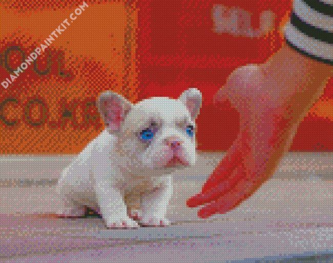 White Frenchie Puppy diamond painting