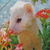 White ferret diamond paintings