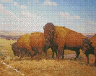 Wild Buffaloes diamond paintings