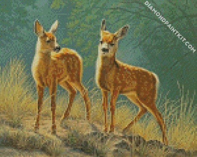 Wild Fawns diamond paintings