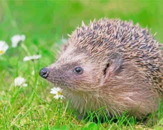 Wild Hedgehog diamond painting