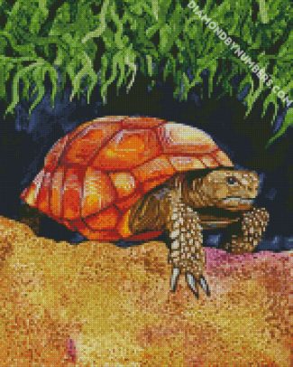 Wild Tortoise diamond paintings