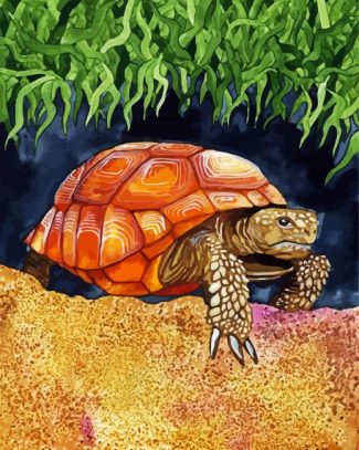 Wild Tortoise diamond painting