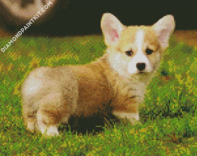 Adorable Corgis Pet diamond painting