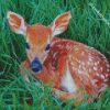 adorable Fawn diamond paintings