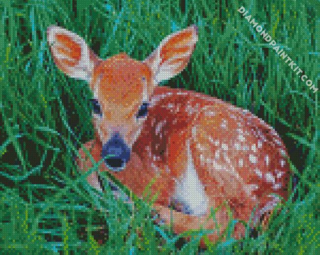 adorable Fawn diamond paintings