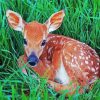 adorable Fawn diamond painting