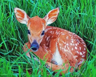 adorable Fawn diamond painting