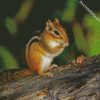 Adorable Chipmunk diamond painting