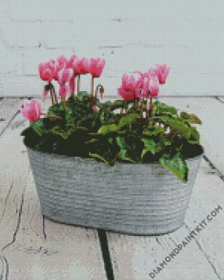 aesrhetic cyclamen diamond paintings