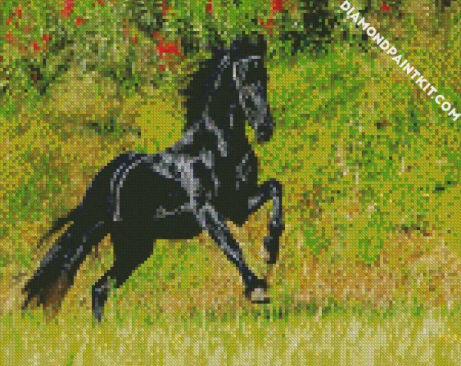 Aestehtic Friesian Horse diamond painting