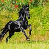 Aestehtic Friesian Horse diamond painting