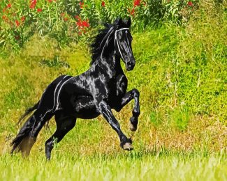 Aestehtic Friesian Horse diamond painting