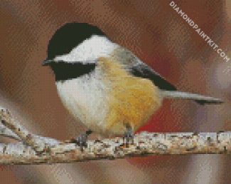 Aesthetic Chickadee Bird diamond painting