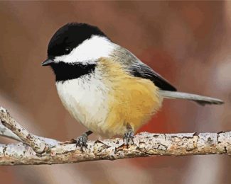 Aesthetic Chickadee Bird diamond painting