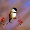 Aesthetic Chickadee diamond painting