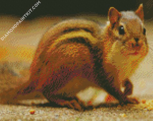 Aesthetic Chipmunks diamond painting