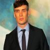 Aesthetic Cillian Murphy Actor diamond painting