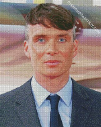 Aesthetic Cillian Murphy diamond painting