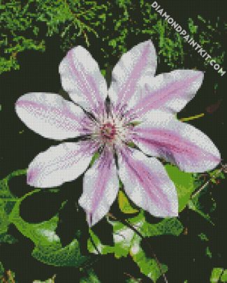 Aesthetic Clematis diamond painting