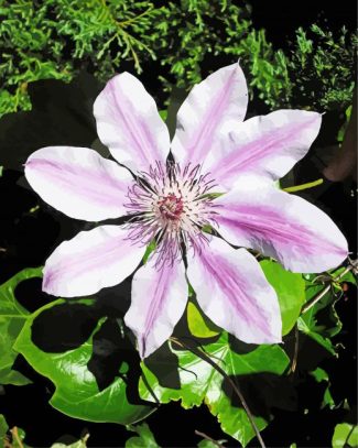 Aesthetic Clematis diamond painting