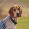 aesthetic Coonhound dog diamond paintings