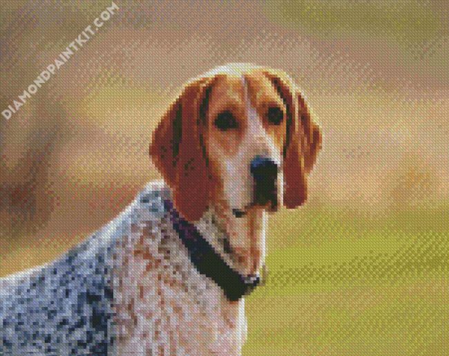 aesthetic Coonhound dog diamond paintings