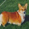 Aesthetic Corgis Dog diamond painting