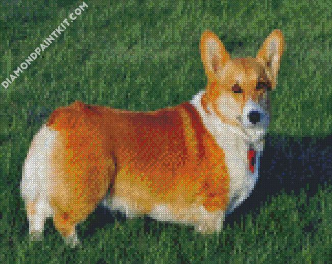 Aesthetic Corgis Dog diamond painting