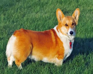 Aesthetic Corgis Dog diamond painting