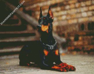 Aesthetic Doberman diamond painting