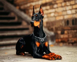 Aesthetic Doberman diamond painting