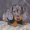 Aesthetic Doxie Dog diamond painting