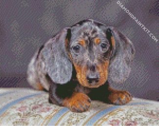 Aesthetic Doxie Dog diamond painting