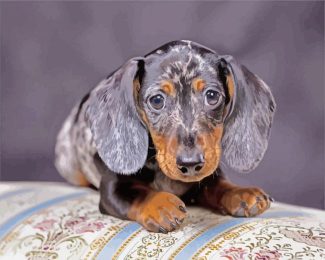 Aesthetic Doxie Dog diamond painting