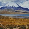 Aesthetic Lauca National Park diamond painting