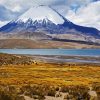 Aesthetic Lauca National Park diamond painting