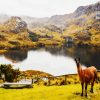 aesthetic Parque Nacional Cajas cuenca diamond painting