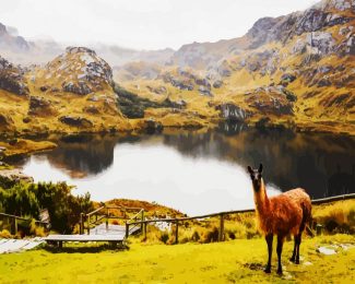 aesthetic Parque Nacional Cajas cuenca diamond painting